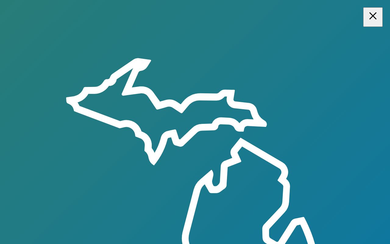 Ogemaw County criminal history ICHAT coverage and exclusions